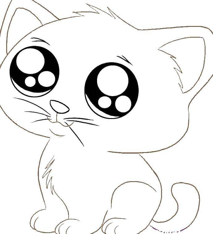 Название: Раскраска Большеглазая кошечка. Категория: Кошка. Теги: кошка, глаза.