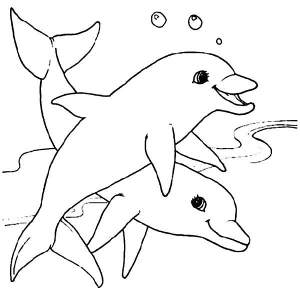Название: Раскраска Дельфинчики играют под водой. Категория: животные. Теги: Подводный мир, дельфин.