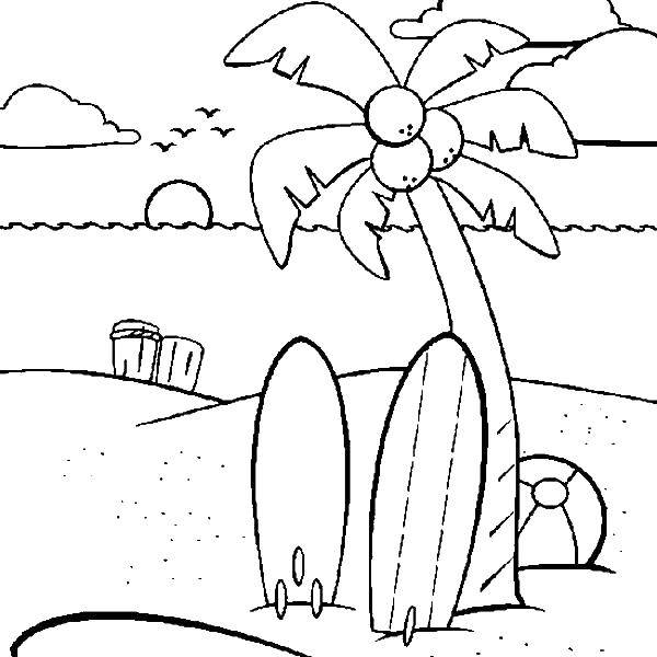 Название: Раскраска Доски для серфинга около пальмы. Категория: Пляж. Теги: Пляж, песок, мяч, пальма, серфинг.