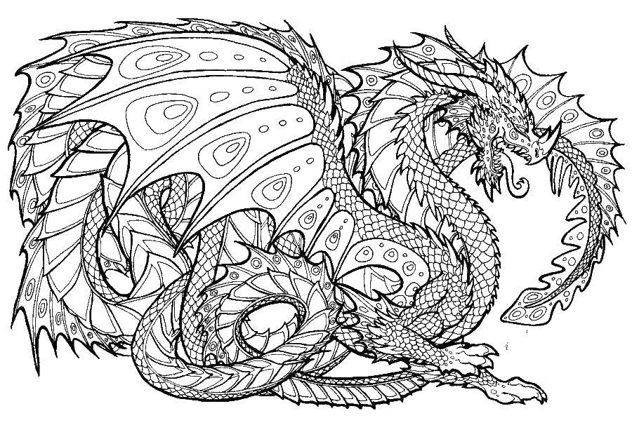 Coloring Dragon with long tail. Category Dragons. Tags:  the dragon.