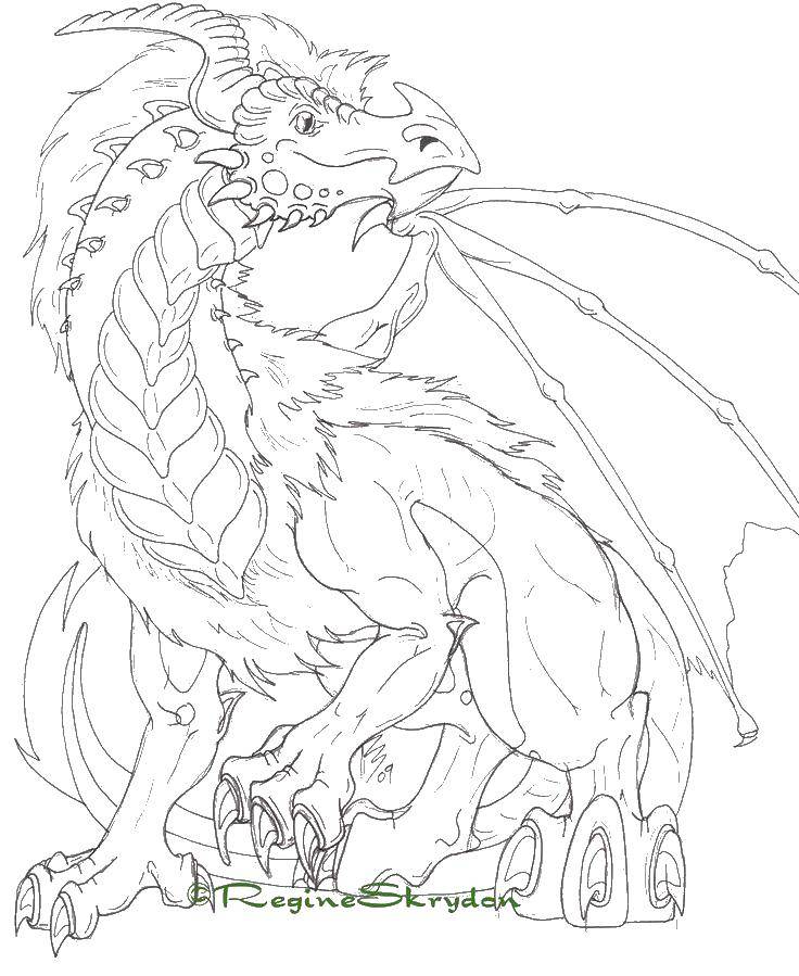 Coloring Dragon. Category Dragons. Tags:  dragons, dragon, wings, claws.