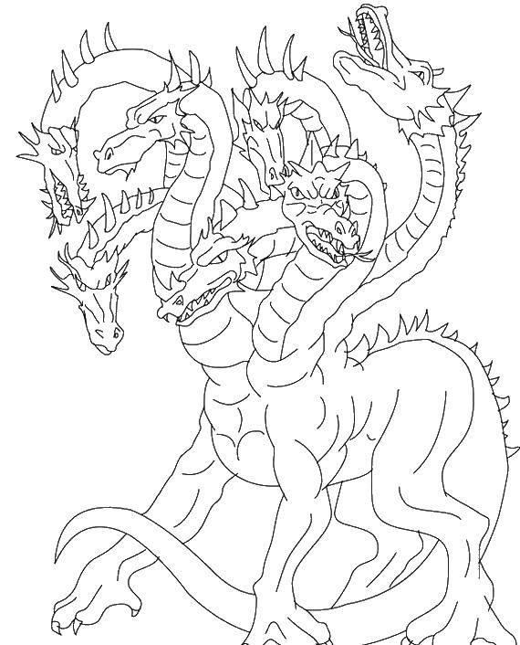 Coloring Dragons with multiple heads. Category Dragons. Tags:  dragons.