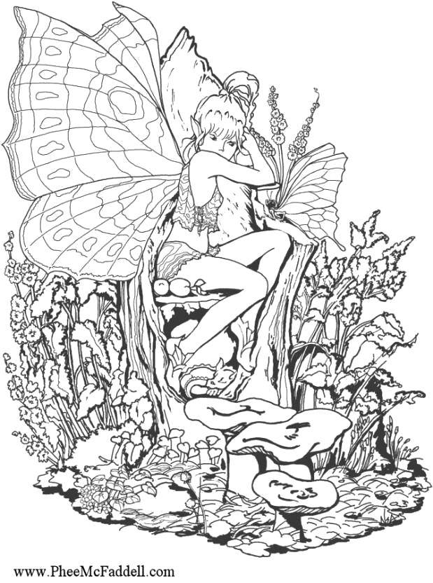 Название: Раскраска Фея с бабочкой.. Категория: феи. Теги: Фея, лес, сказка.