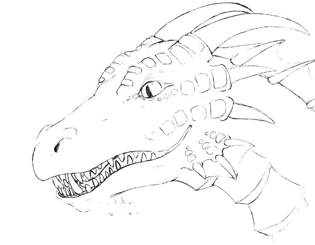 Coloring Dragon head. Category Dragons. Tags:  the dragon.