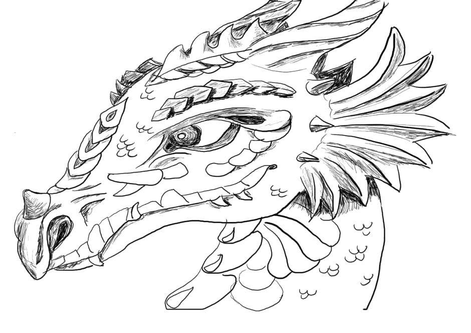 Coloring Dragon head. Category Dragons. Tags:  Dragons.