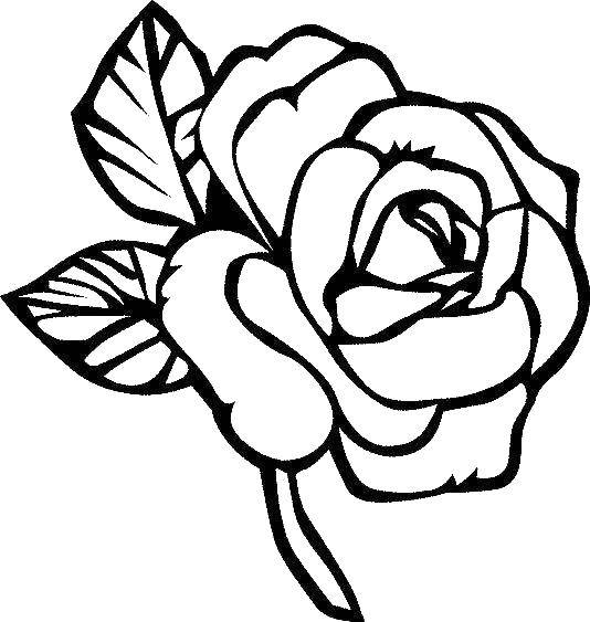 Название: Раскраска Изящная розочка. Категория: Цветы. Теги: Цветы, розы.