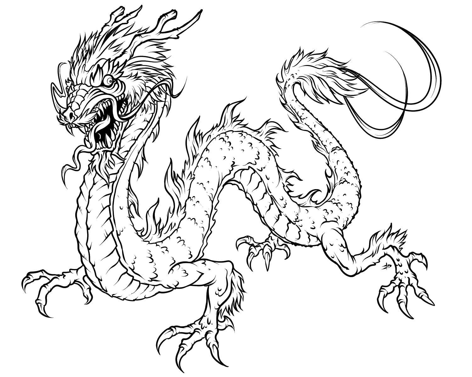 Название: Раскраска Китайский безумный дракон. Категория: Драконы. Теги: Драконы.