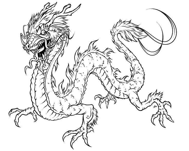 Название: Раскраска Китайский длинный дракон. Категория: Драконы. Теги: дракон, огонь.