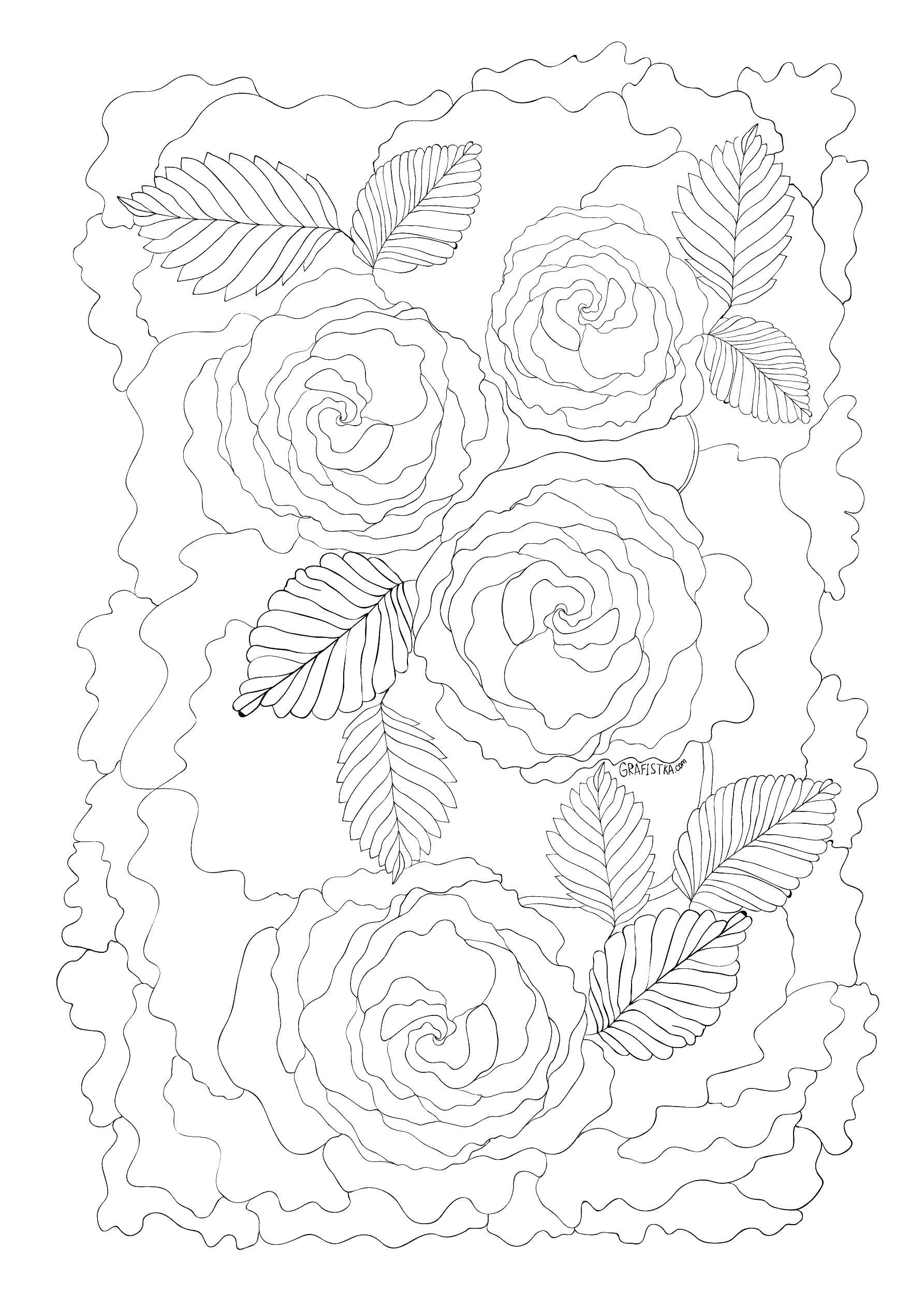 Coloring Beautiful roses. Category flowers. Tags:  flowers, rose, roses, plant.