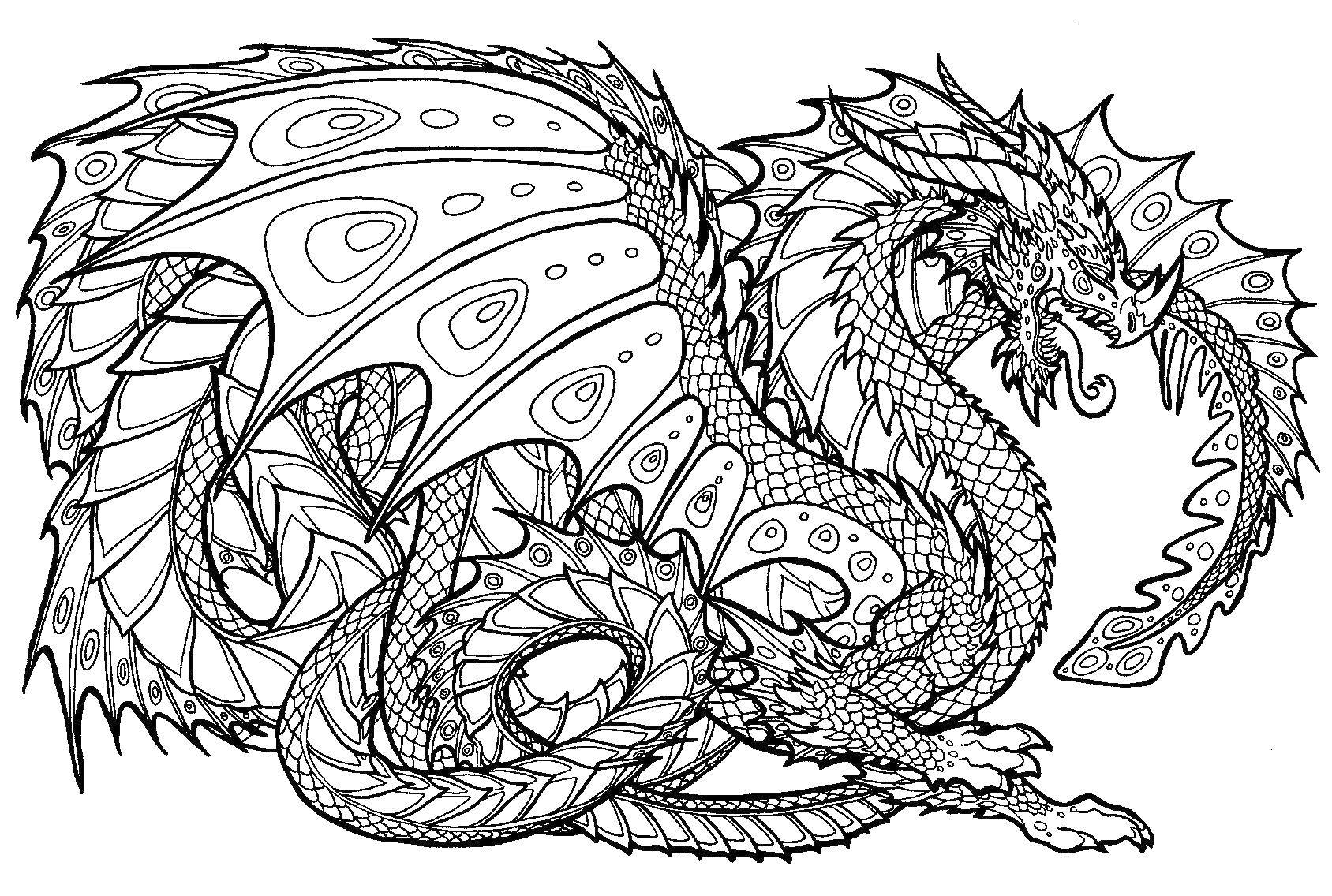 Coloring Beautiful dragon. Category Dragons. Tags:  Dragons.