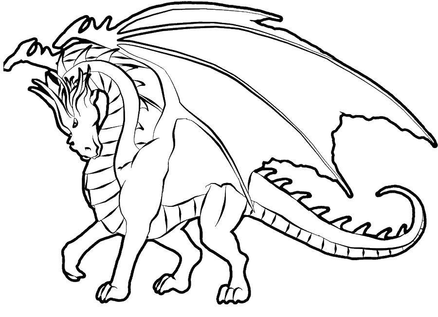 Coloring The winged dragon. Category Dragons. Tags:  wings, dragons, dragon.