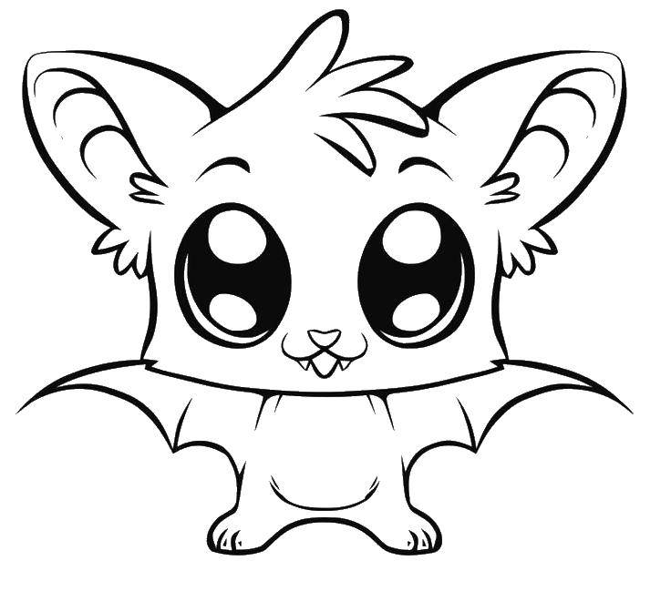 Название: Раскраска Летучая мышка с большими глазками. Категория: животные. Теги: животные, летучие мыши.
