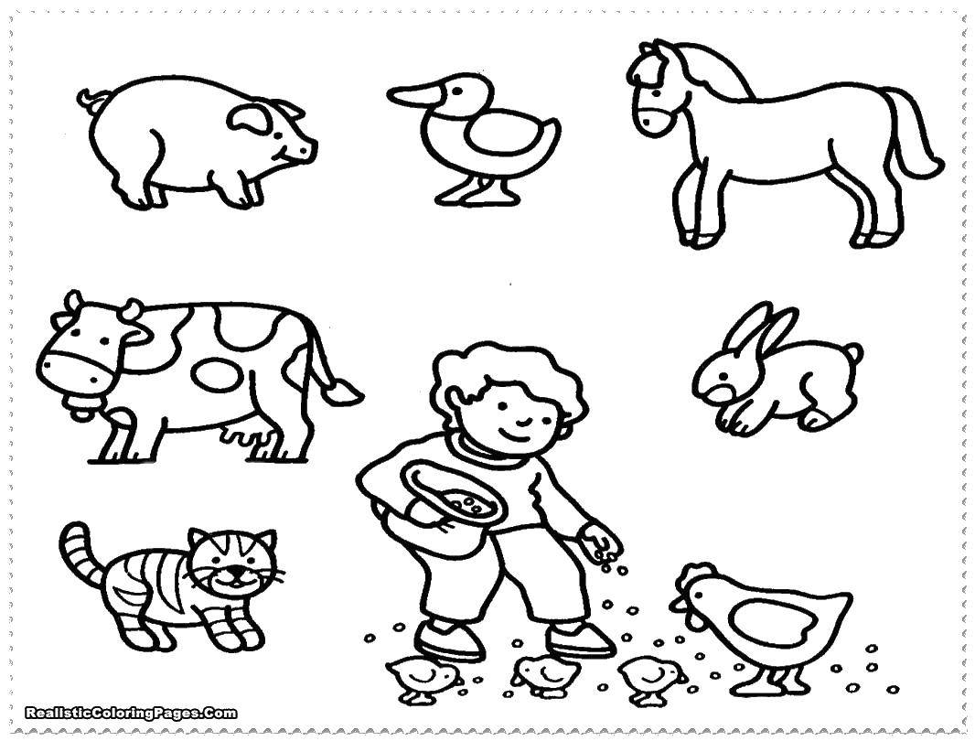 Название: Раскраска Мальчик кормит зверей. Категория: животные. Теги: животные, звери, мальчик, ферма.