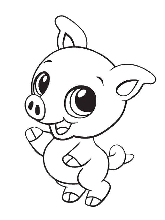 Coloring Cute pig. Category animals. Tags:  animals, pig, piggy.