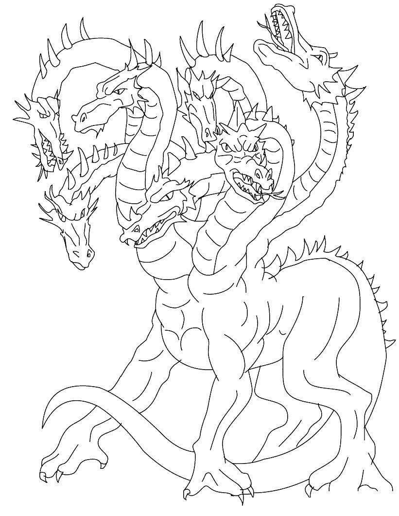 Название: Раскраска Многоголовый дракон. Категория: Драконы. Теги: драконы, дракон.