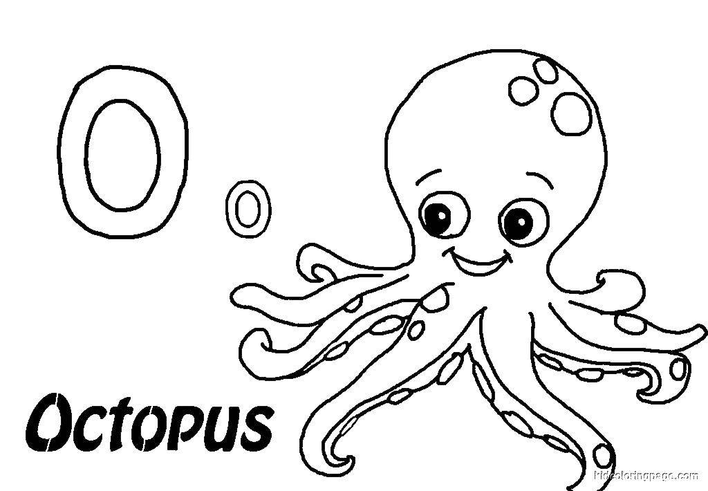 Coloring About the octopus.. Category marine. Tags:  Underwater world.