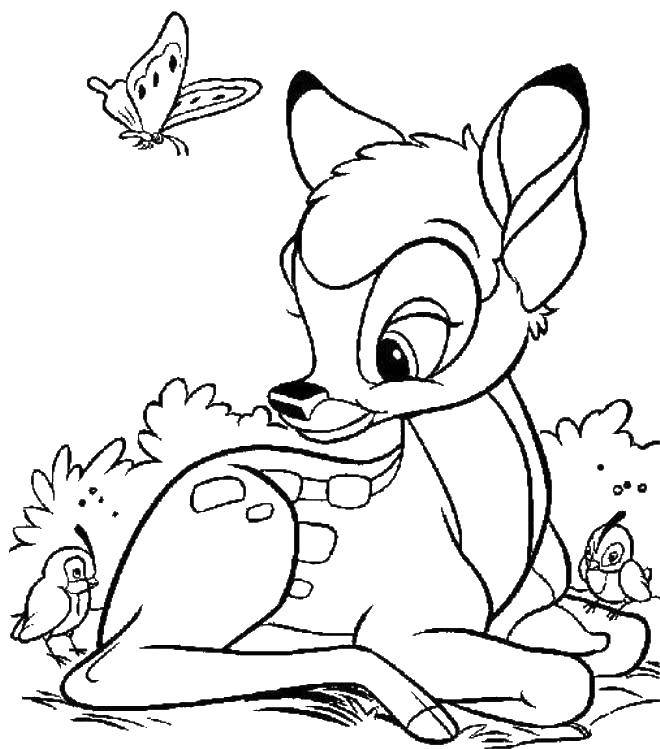 Coloring The little fawn Bambi.. Category Disney cartoons. Tags:  Disney cartoons, fawn, Bambi.