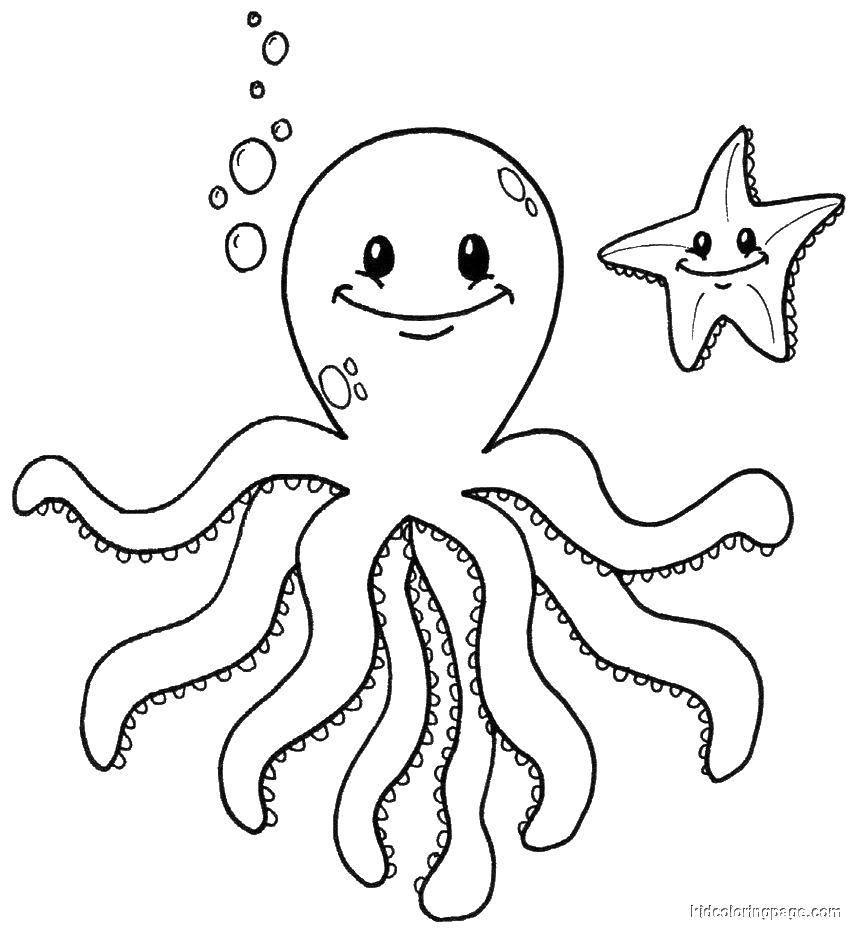 Coloring Octopus and starfish. Category marine animals. Tags:  octopus, star, sea.