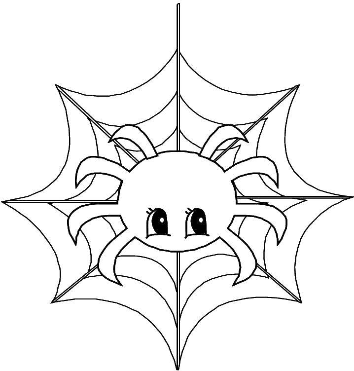 Название: Раскраска Паук на паутине. Категория: пауки. Теги: насекомые, паук, паучок.