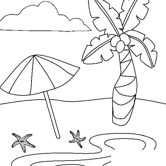 Название: Раскраска Пляж, пальма, зонтик. Категория: Пляж. Теги: пляж, море, песок, зонт, пальма.