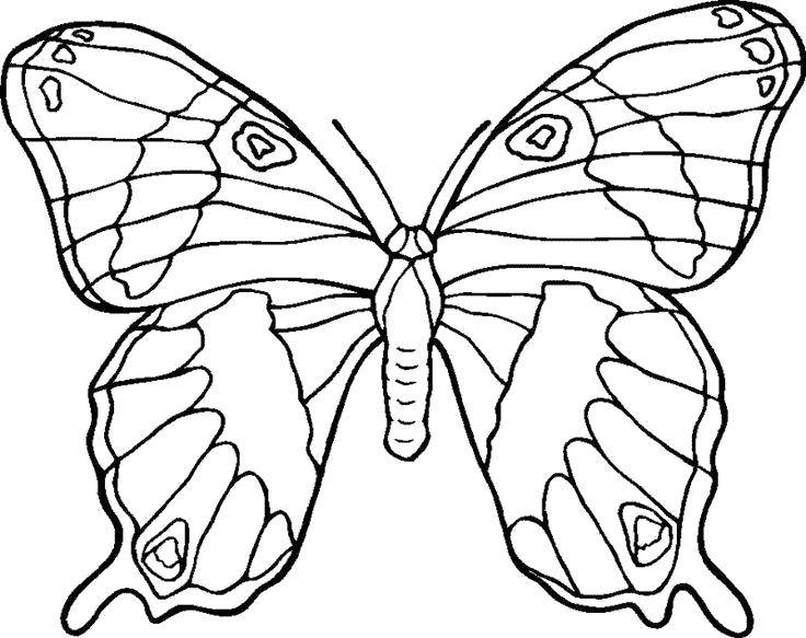 Название: Раскраска Придумай дизайн бабочке. Категория: бабочки. Теги: Бабочка.