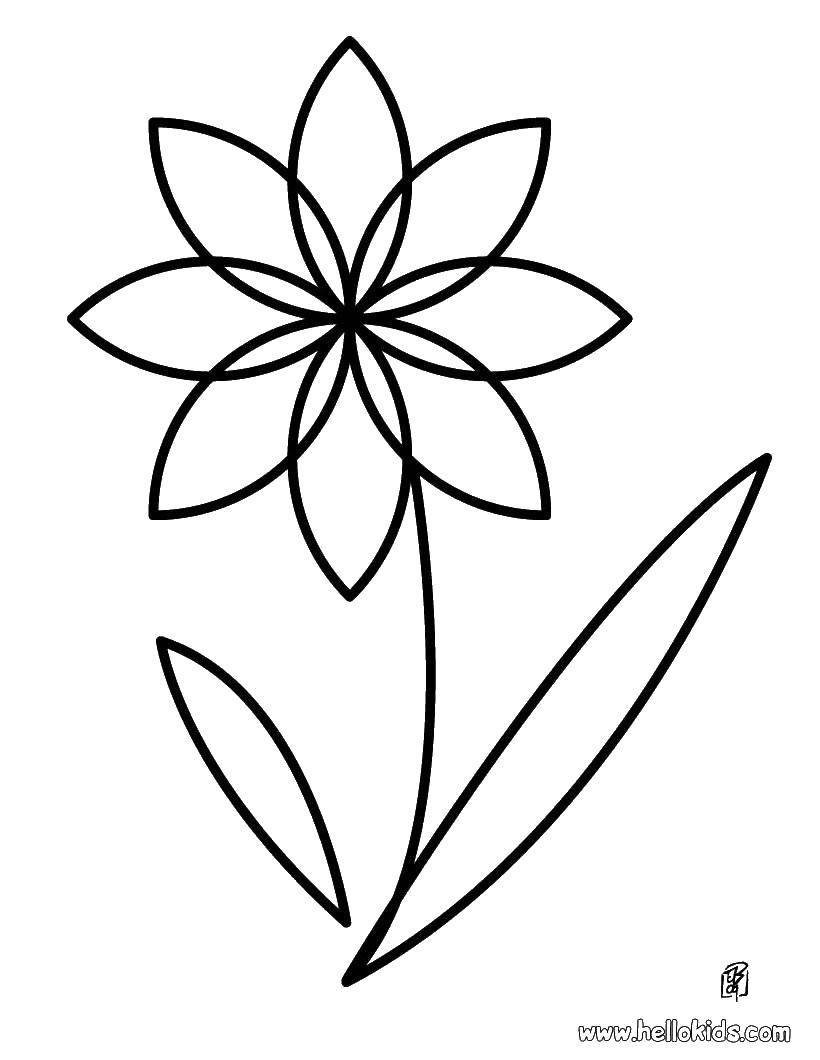 Coloring Just a flower. Category Flowers. Tags:  Flowers.