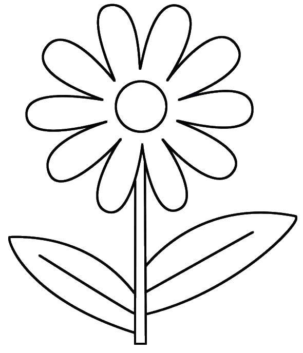 Coloring Simple flower. Category Flowers. Tags:  flowers, flower, flower.