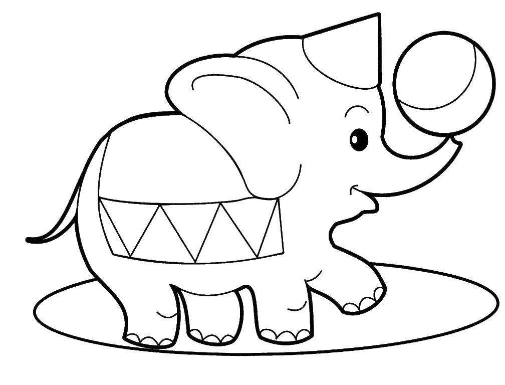 Название: Раскраска Слон с мячиком. Категория: животные. Теги: слон, мячики.
