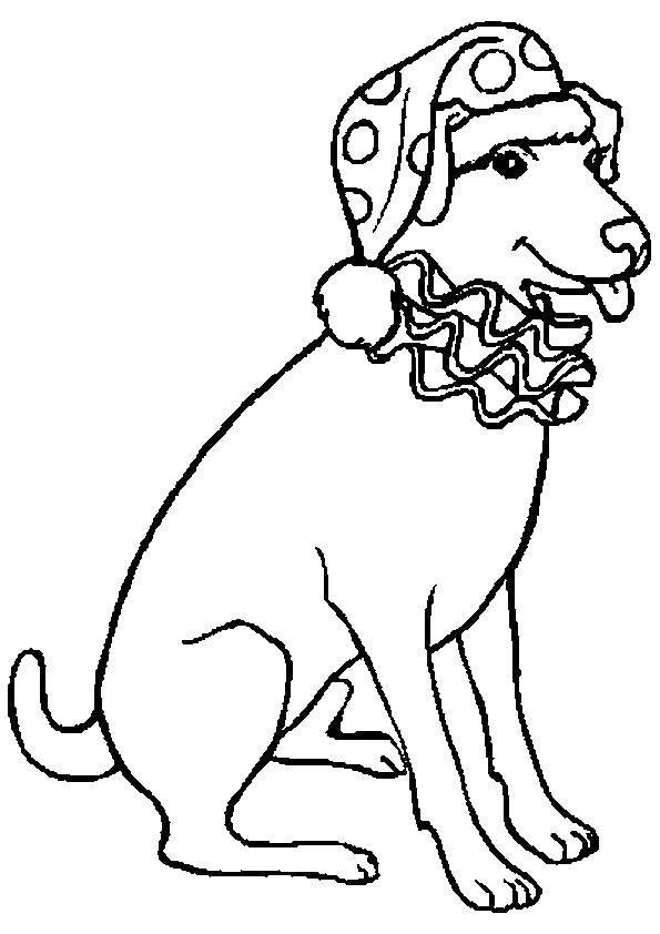 Coloring A dog for Christmas. Category animals. Tags:  animals, dog, Christmas.