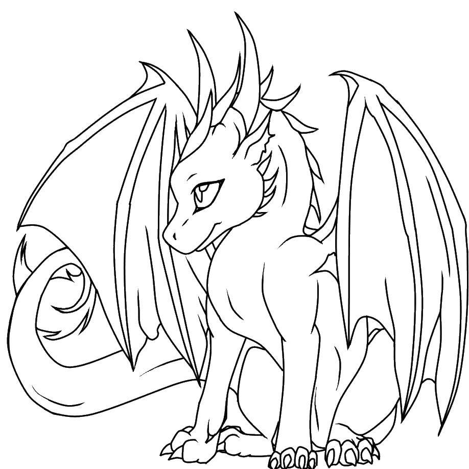 Coloring Shy dragon. Category Dragons. Tags:  Dragons.