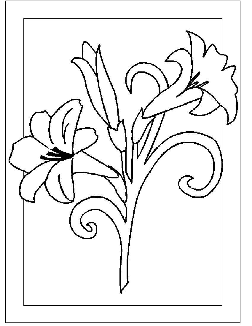 Coloring Three lilies. Category Flowers. Tags:  Flowers.