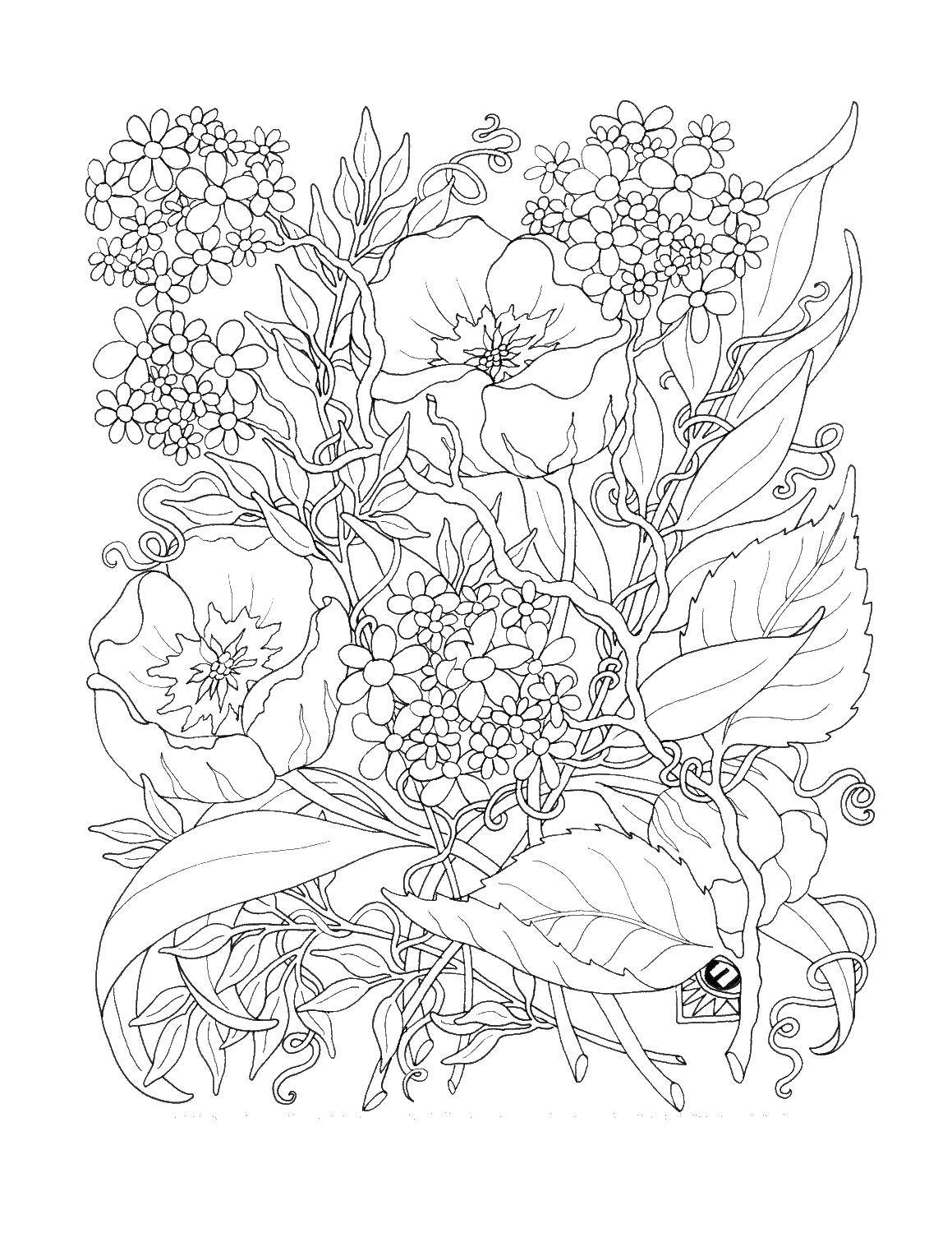 Coloring Flowers and leaves. Category flowers. Tags:  flowers, flowers, leaves, plants.
