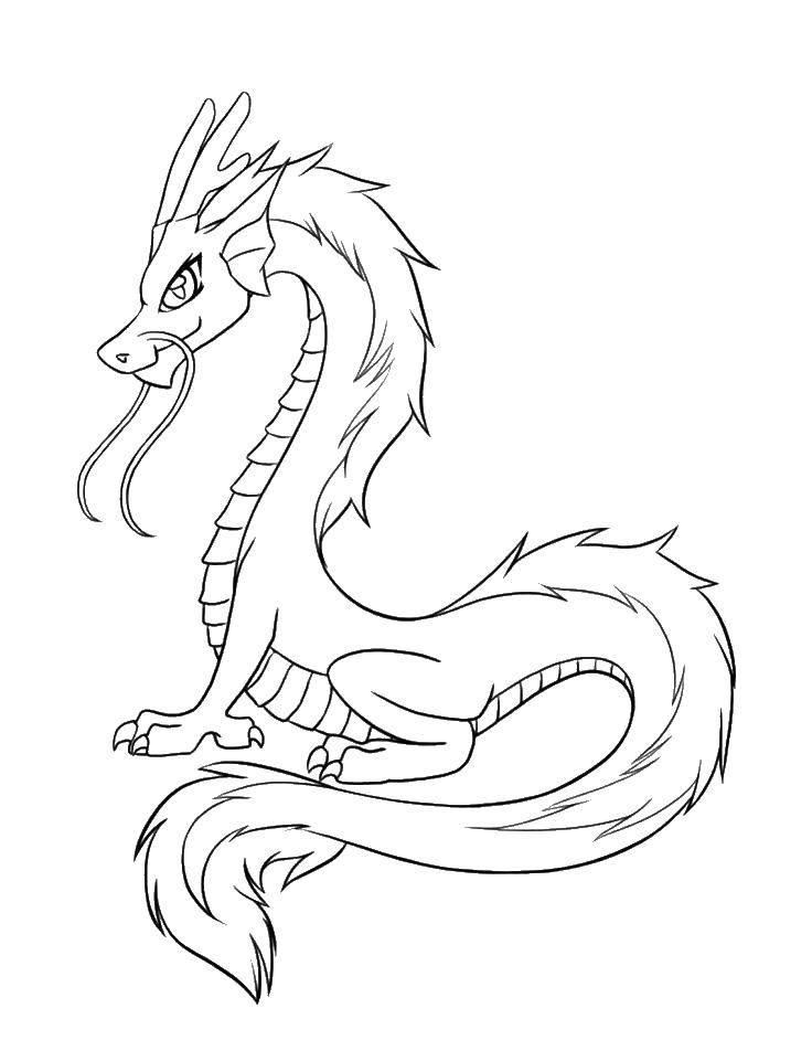 Coloring Bearded dragon. Category Dragons. Tags:  Dragons.