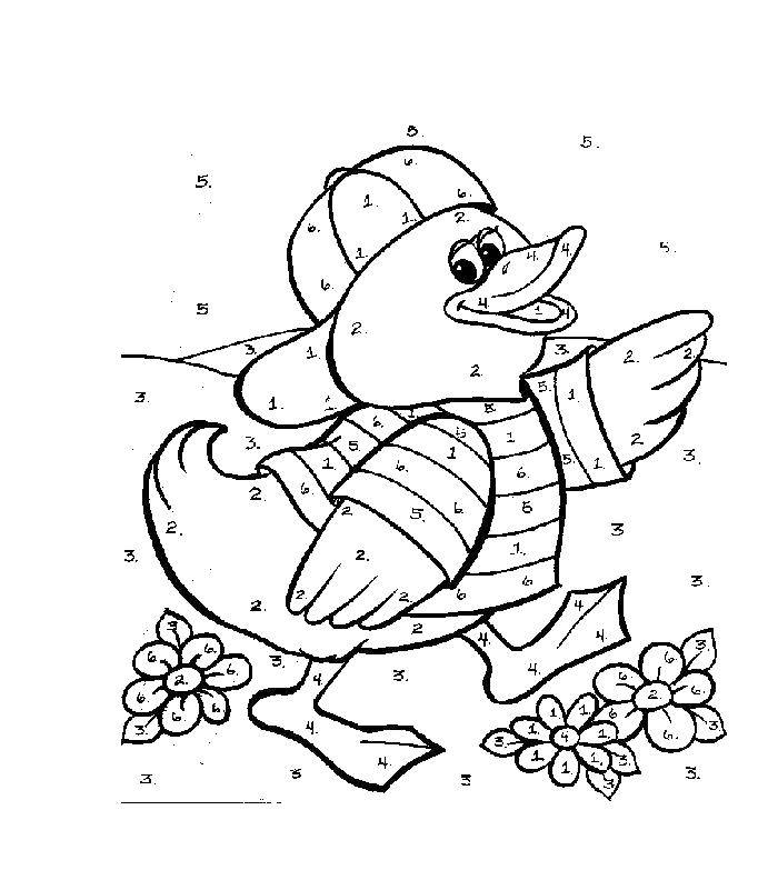 Coloring Duck in the hat. Category Animals. Tags:  animals, birds, duck.