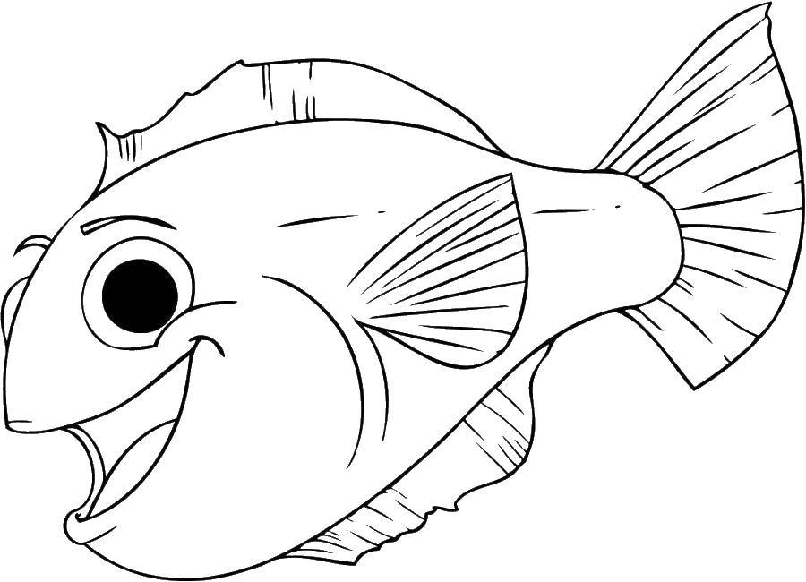 Название: Раскраска Веселая рыбка. Категория: Рыбы. Теги: рыбы, океан.