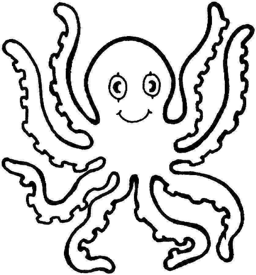 Coloring Funny octopus. Category sea animals. Tags:  marine life, octopus.