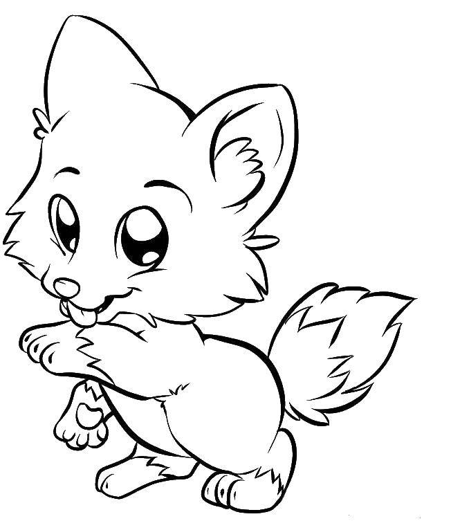 Coloring Funny Fox. Category animals. Tags:  Animals, Fox.