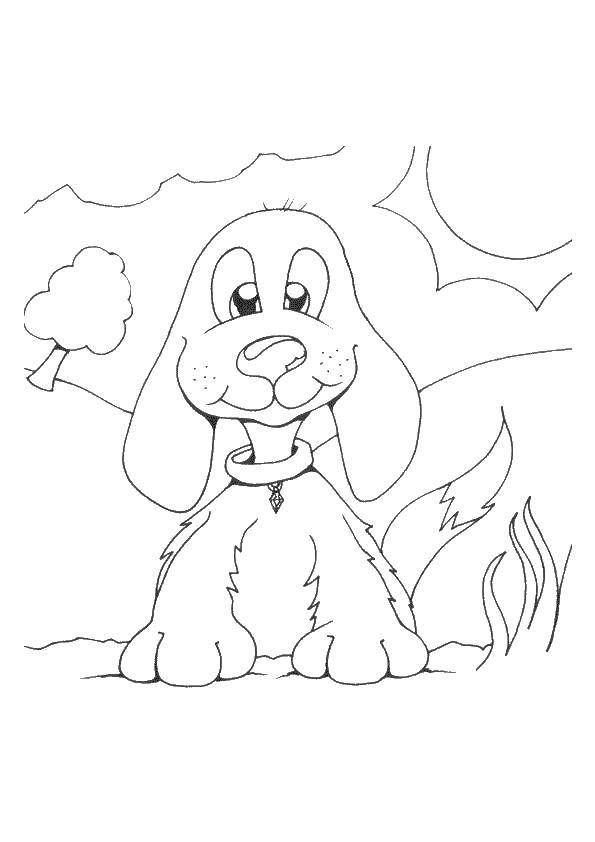 Coloring Lop-eared dog. Category animals. Tags:  animals, dogs.
