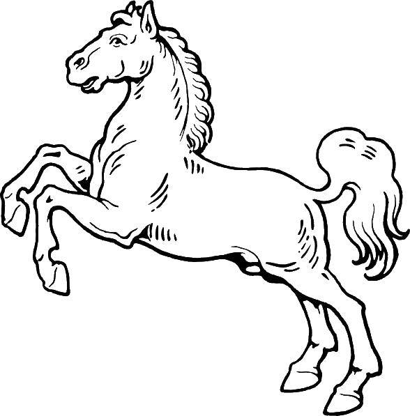 Coloring Stallion. Category animals. Tags:  horse, stallion.