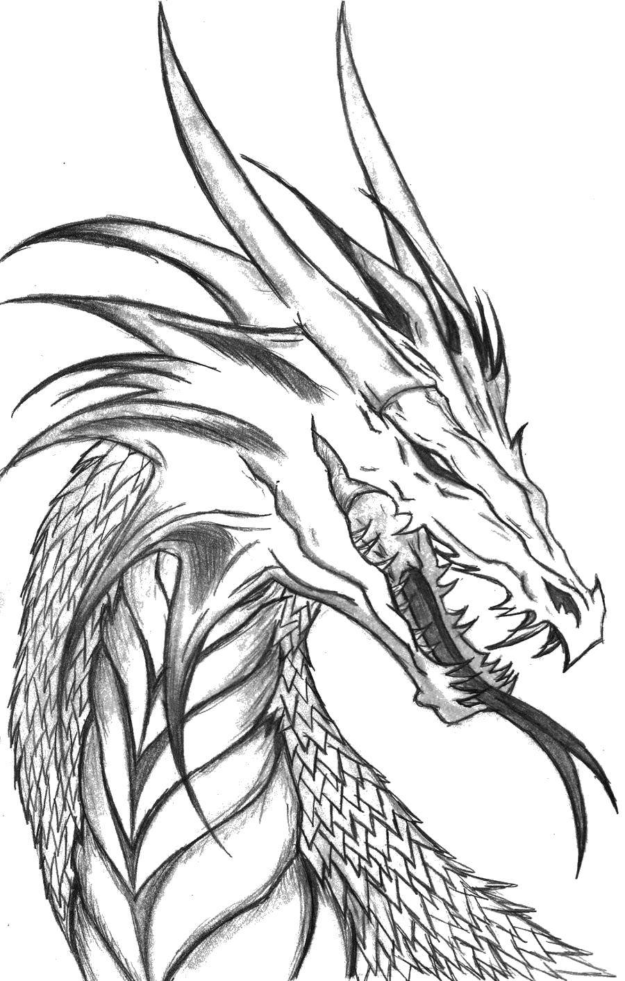 Coloring A terrible dragon.. Category Dragons. Tags:  Dragons.