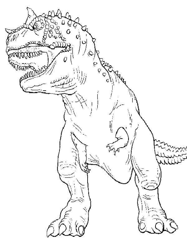 Название: Раскраска карнотавр семейство абелизавров. Категория: динозавр. Теги: Карнотавр, абелизавр.