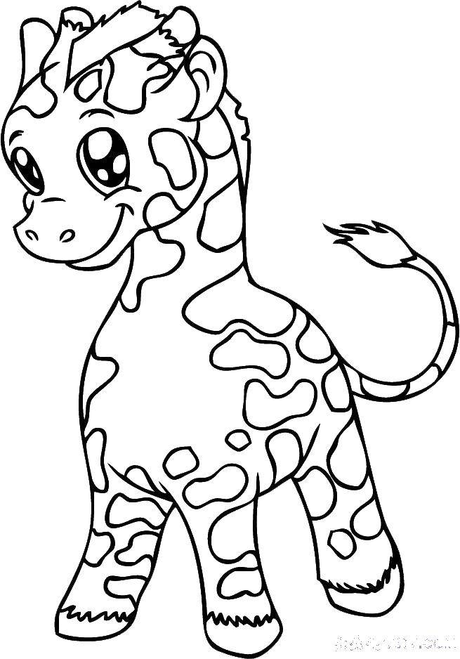Розмальовки  Милашка жирафик. Завантажити розмальовку Тварини, жираф.  Роздрукувати ,дитинчата тварин,