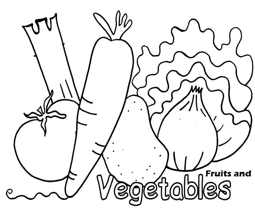 Раскраска Овощи на английском Скачать ,морковка, помидор, лук, капуста,.  Распечатать 