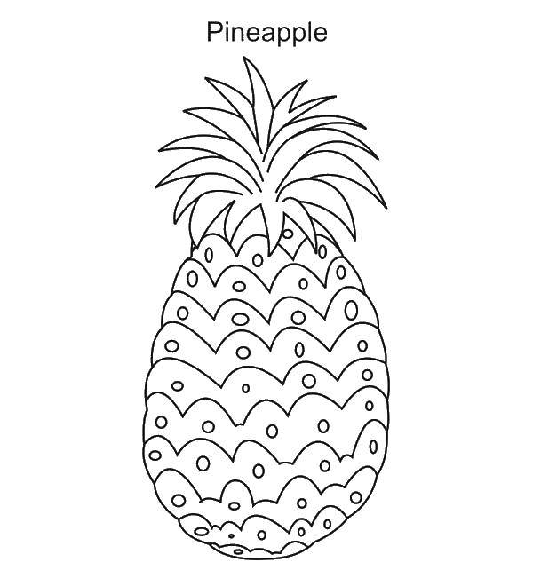 Coloring Pineapple. Category Fruits. Tags:  fruit, pineapple, pineapples.