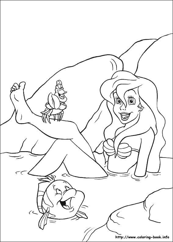 Coloring Ariel is not a mermaid. Category The little mermaid. Tags:  Disney, the little mermaid, Ariel.