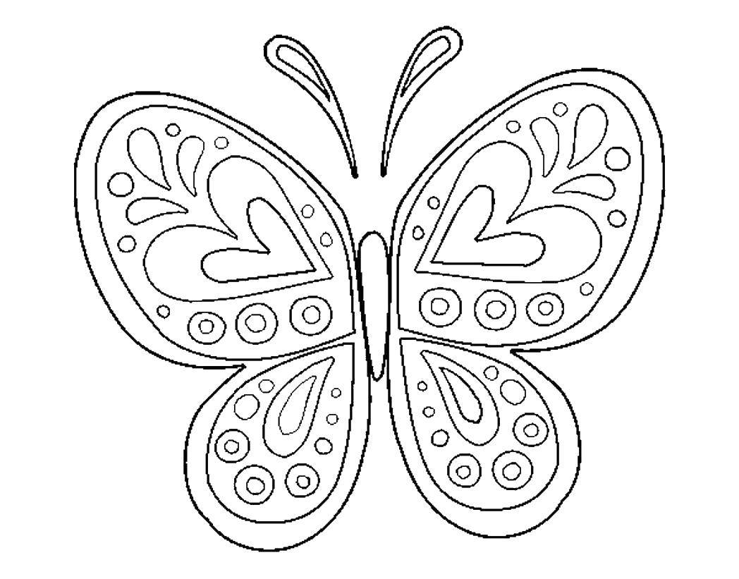 Название: Раскраска Бабочка и узорчатые крылья. Категория: Бабочка. Теги: бабочки, насекомые, крылья.