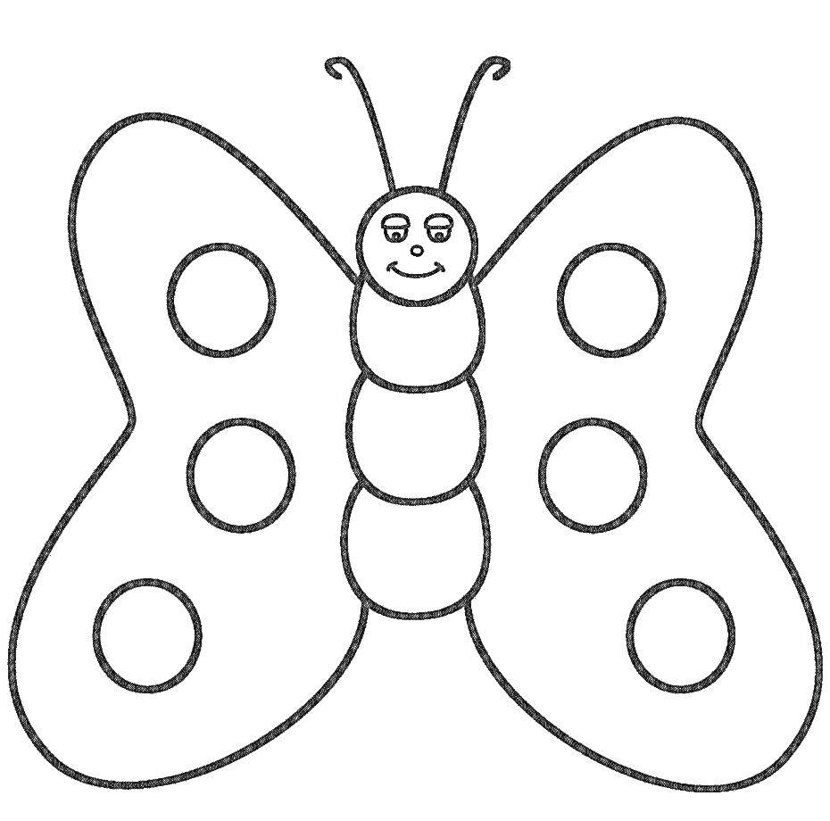 Название: Раскраска Бабочка с крылышками в горошек. Категория: Бабочка. Теги: насекомые, бабочки.