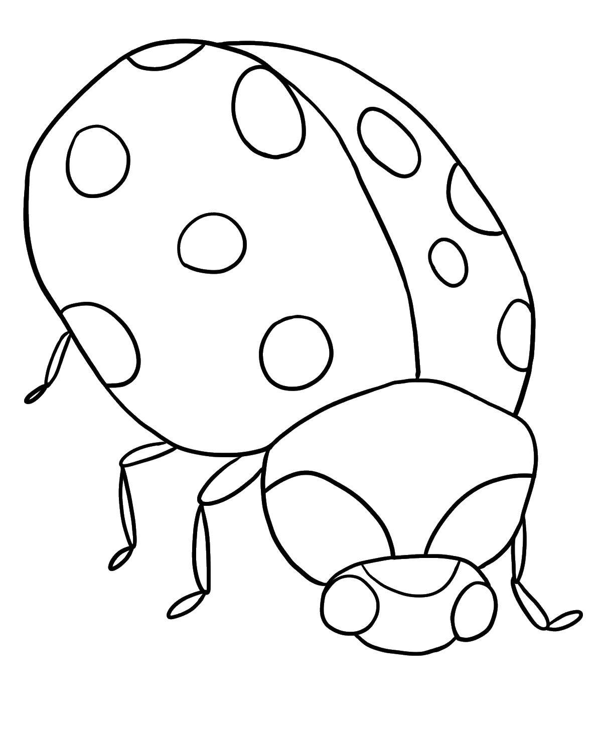 Coloring Ladybug.. Category Insects. Tags:  insect, ladybug.