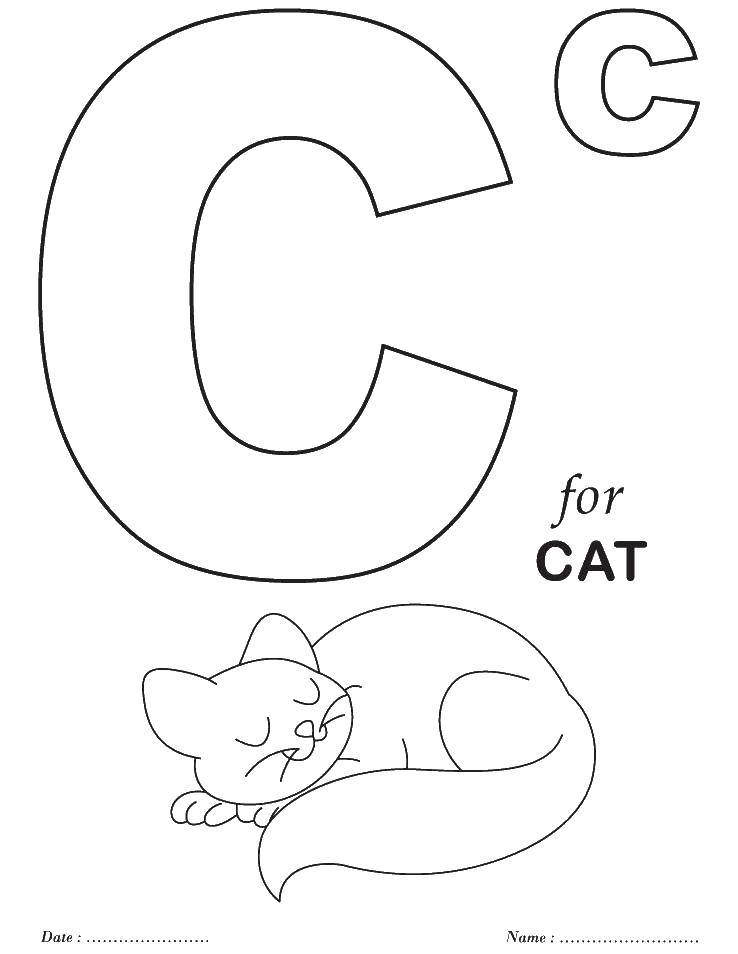 Название: Раскраска C cat. Категория: Английский алфавит. Теги: cat, кошка, животные, алфавит.