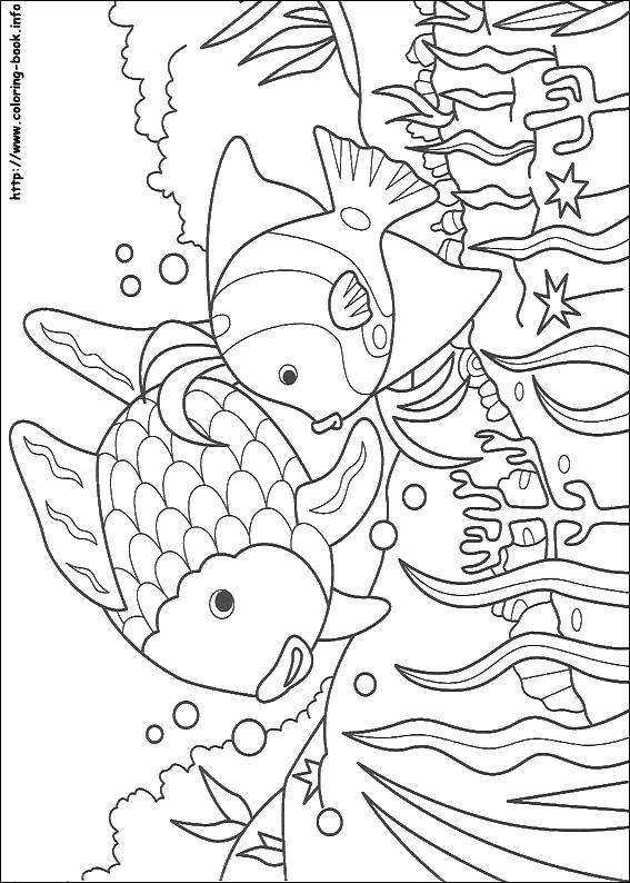 Название: Раскраска Две рыбки в подводном мире. Категория: Рыбы. Теги: рыбы, подводный мир, море.
